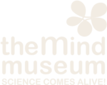 The Mind Museum