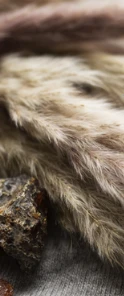 Cashmere scent