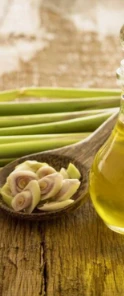 Lemongrass scent