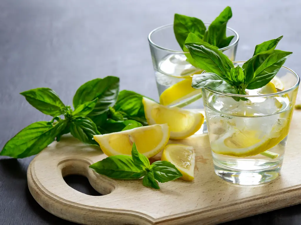 Basil and Citrus - Aroma City Scents for Scenting Machine