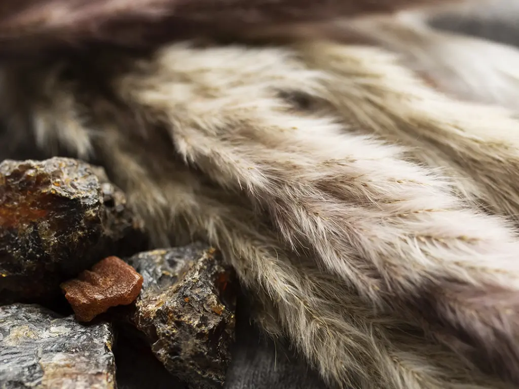 Cashmere- Aroma City Scents for Scenting Machine