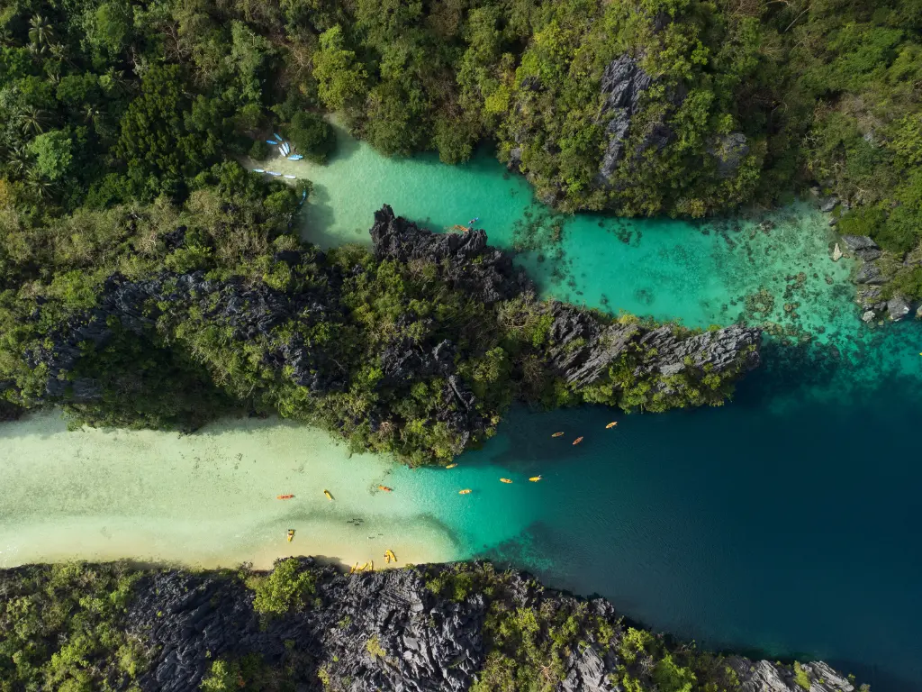 El Nido - Aroma City Scents for Scenting Machine