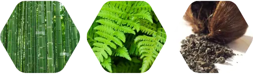 Fresh Bamboo - Aroma City Scents for Scenting Machine