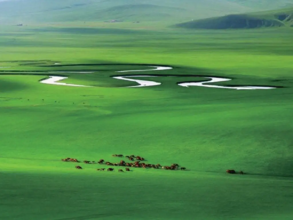 Fresh Bamboo - Aroma City Scents for Scenting Machine