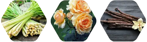 Lemongrass - Aroma City Scents for Scenting Machine