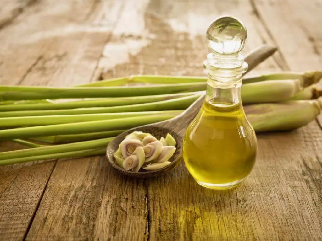 Lemongrass- Aroma City Scents for Scenting Machine