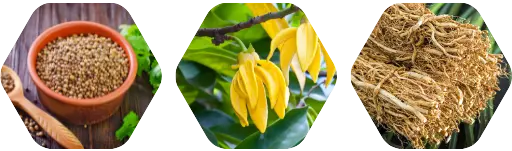 Mint and Jasmine - Aroma City Scents for Scenting Machine