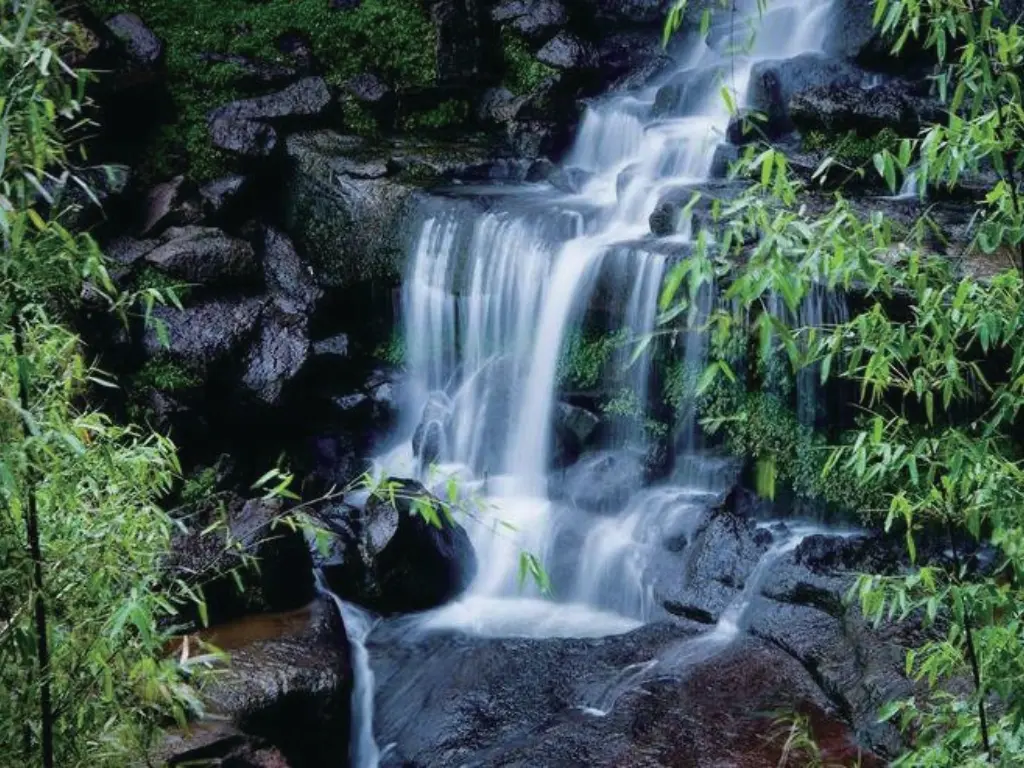 Mist - Aroma City Scents for Scenting Machine