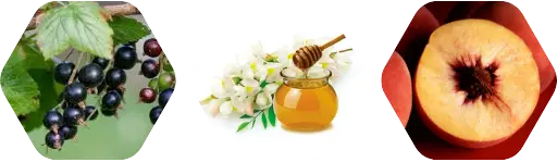 Nectarine and Honey - Aroma City Scents for Scenting Machine