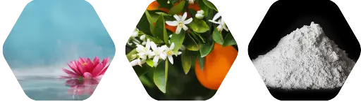 Powder Room - Aroma City Scents for Scenting Machine